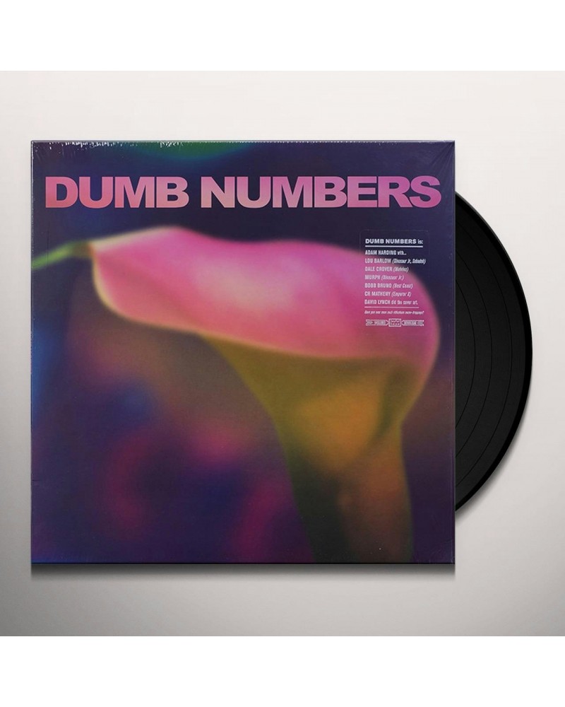 Dumb Numbers Vinyl Record $7.65 Vinyl