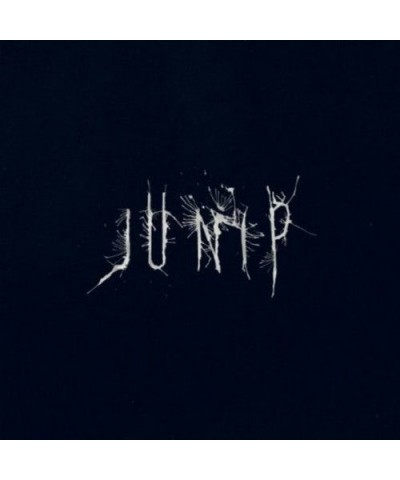 Junip Vinyl Record $13.80 Vinyl