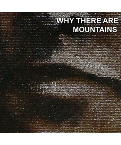 Cymbals Eat Guitars Why There Are Mountains Vinyl Record $7.72 Vinyl