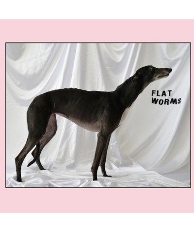 Flat Worms CD $6.40 CD