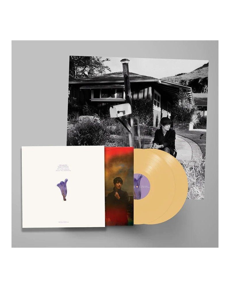 Sharon Van Etten WE'VE BEEN GOING ABOUT THIS ALL WRONG (DELUXE EDITION/CUSTARD VINYL/2LP) Vinyl Record $12.96 Vinyl