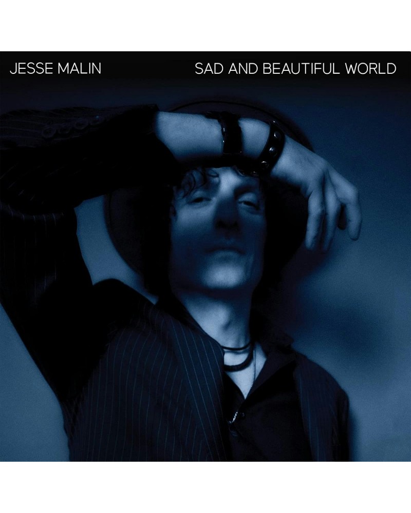 Jesse Malin SAD & BEAUTIFUL WORLD (2LP) Vinyl Record $13.40 Vinyl