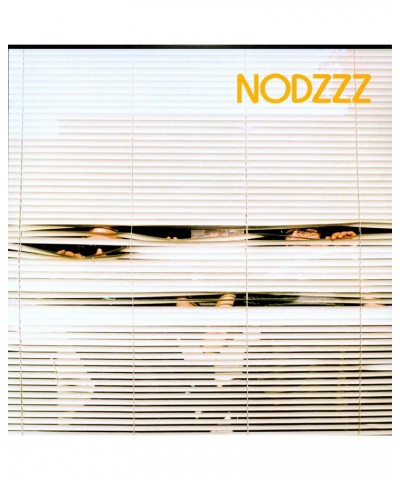 NODZZZ Vinyl Record $2.58 Vinyl