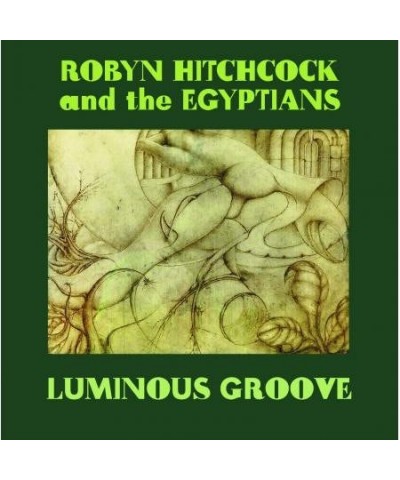 Robyn Hitchcock LUMINOUS GROOVE CD $24.84 CD